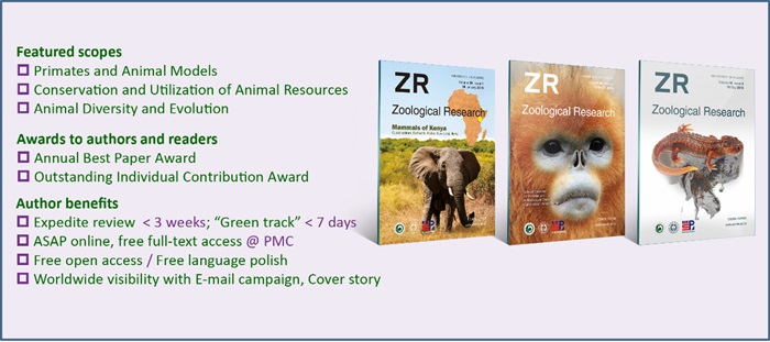 电子游戏app下载安装