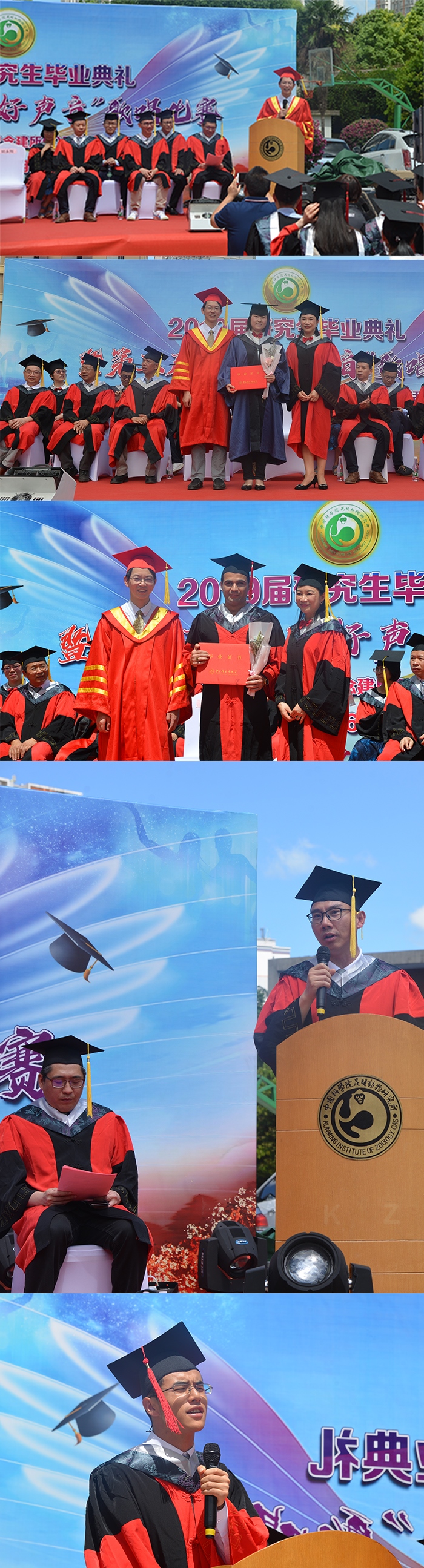 电子游戏app下载安装