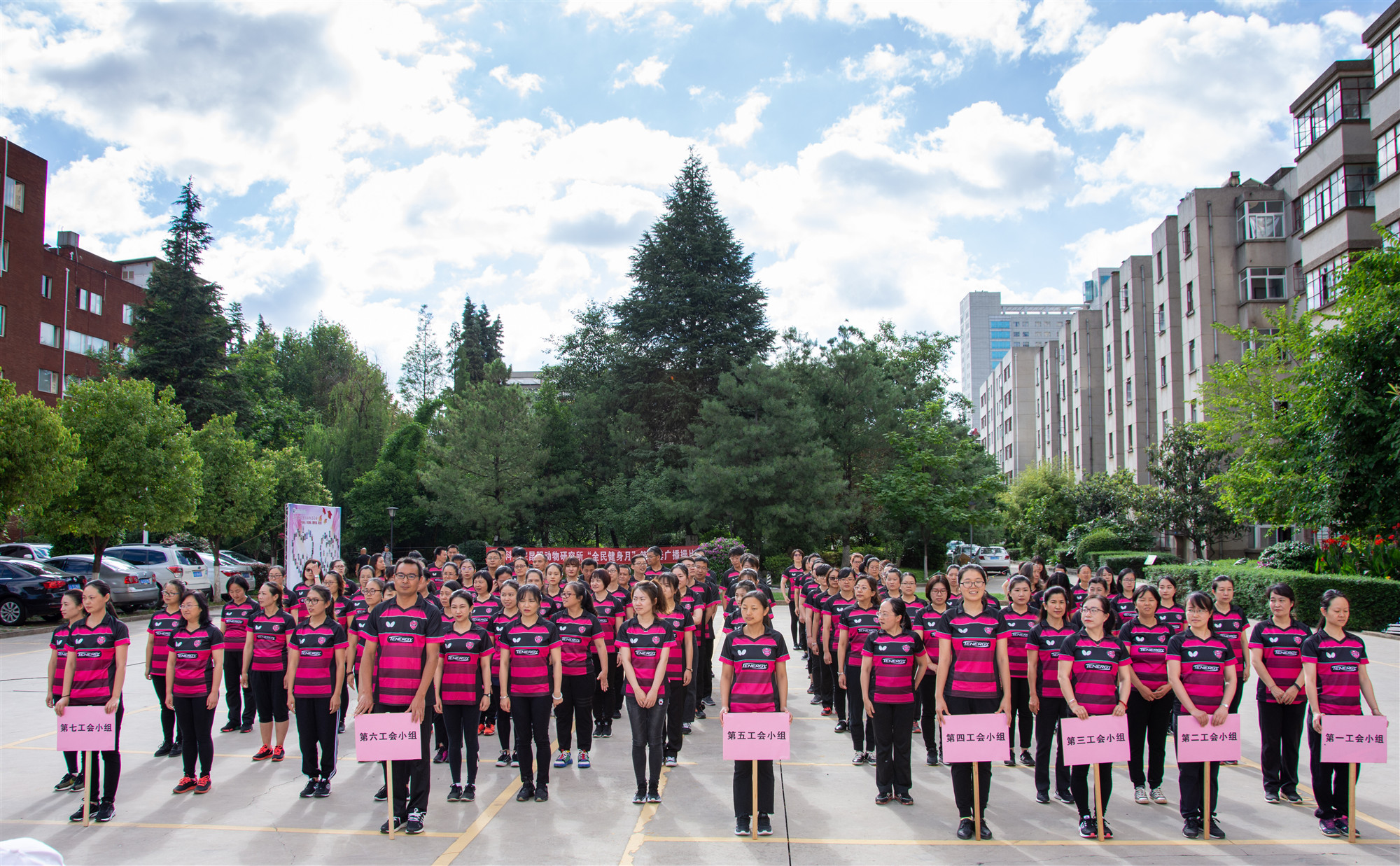 电子游戏app下载安装