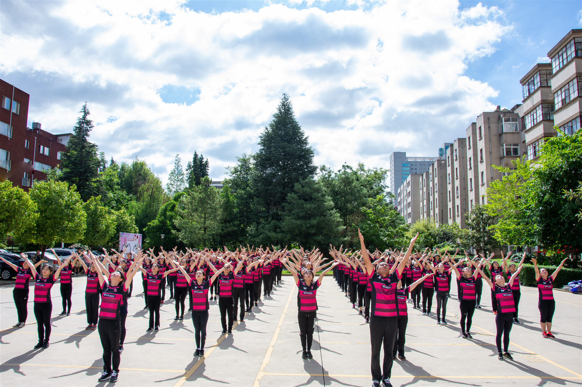 电子游戏app下载安装