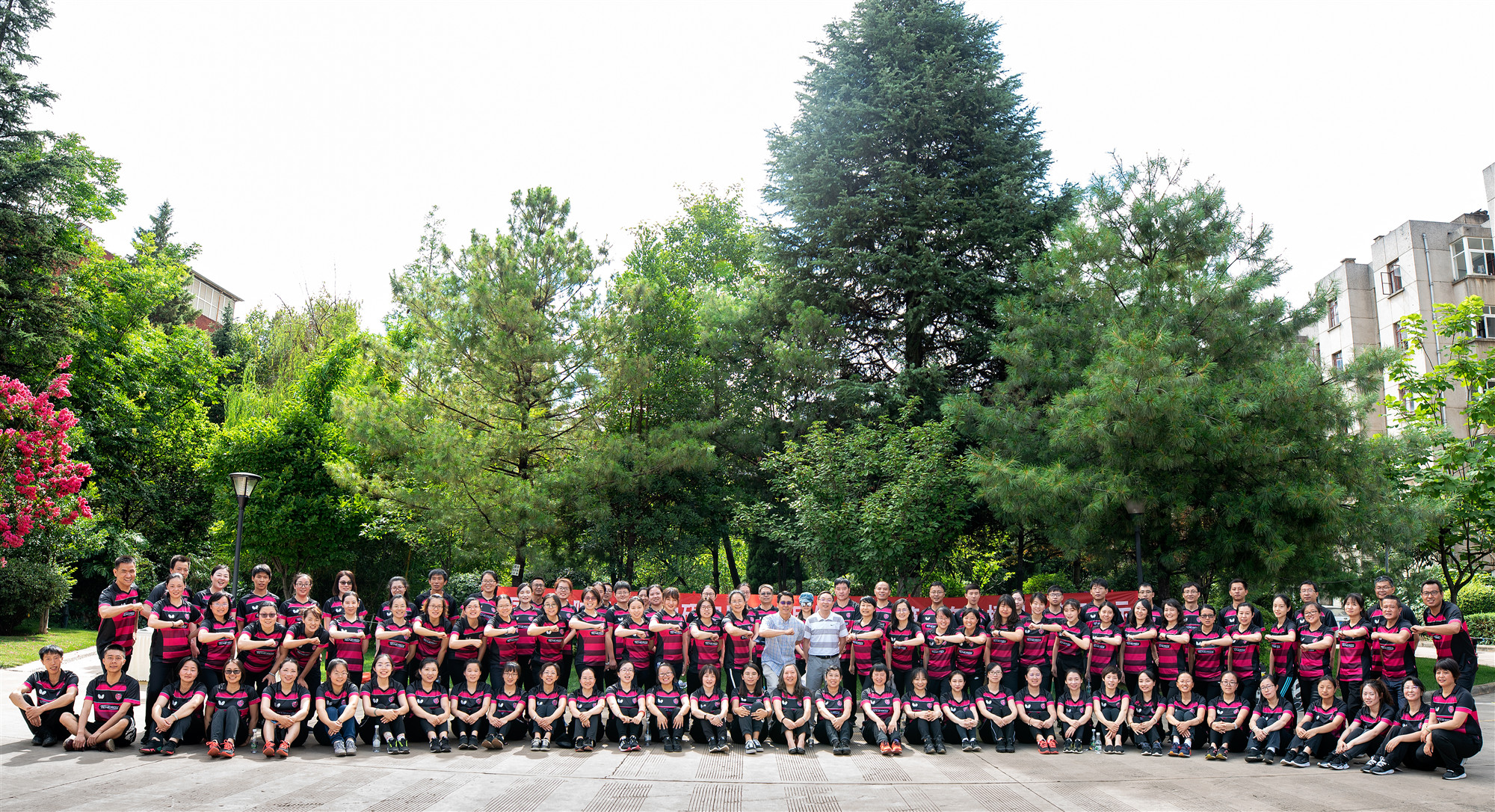 电子游戏app下载安装