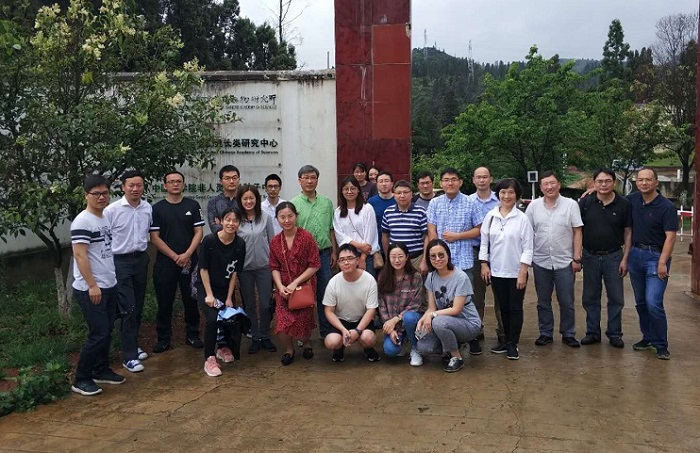 电子游戏app下载安装