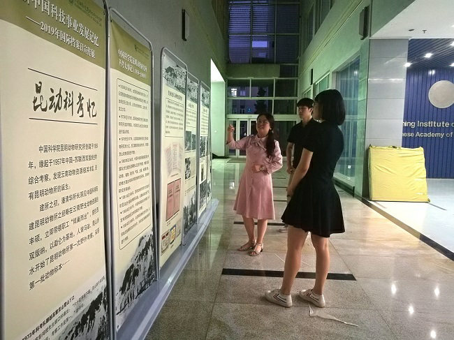 电子游戏app下载安装