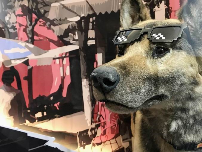 电子游戏app下载安装