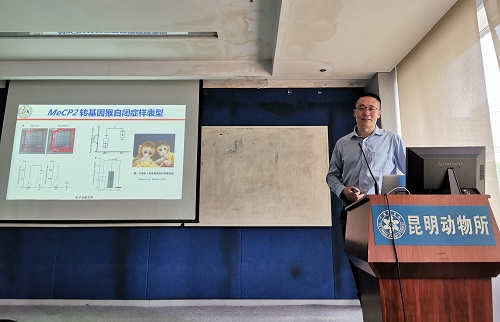 电子游戏app下载安装