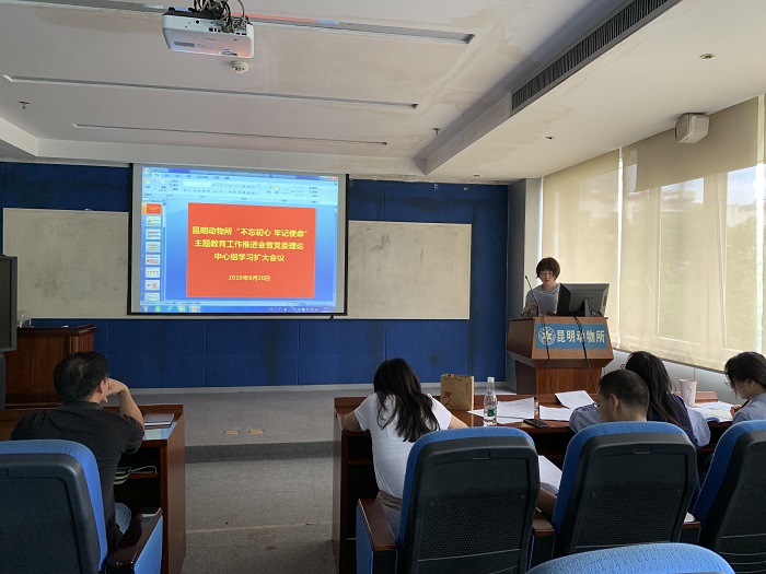 电子游戏app下载安装