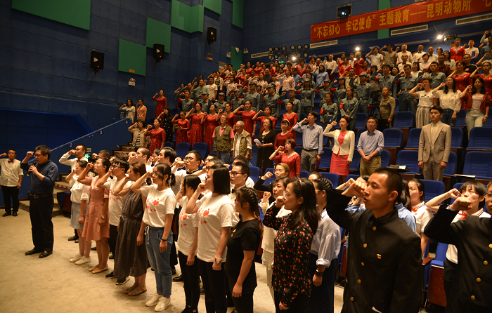 电子游戏app下载安装