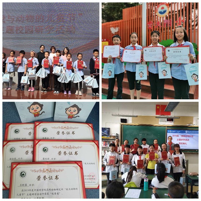 电子游戏app下载安装