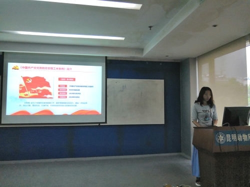 电子游戏app下载安装