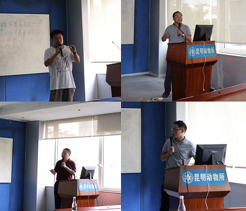 电子游戏app下载安装