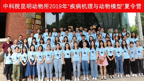 电子游戏app下载安装