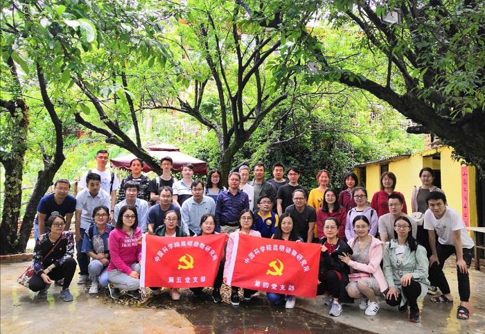 电子游戏app下载安装