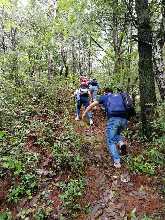 电子游戏app下载安装