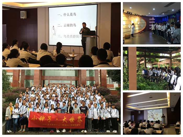 电子游戏app下载安装