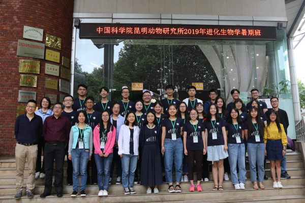 电子游戏app下载安装