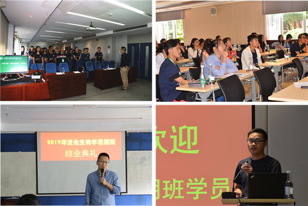 电子游戏app下载安装