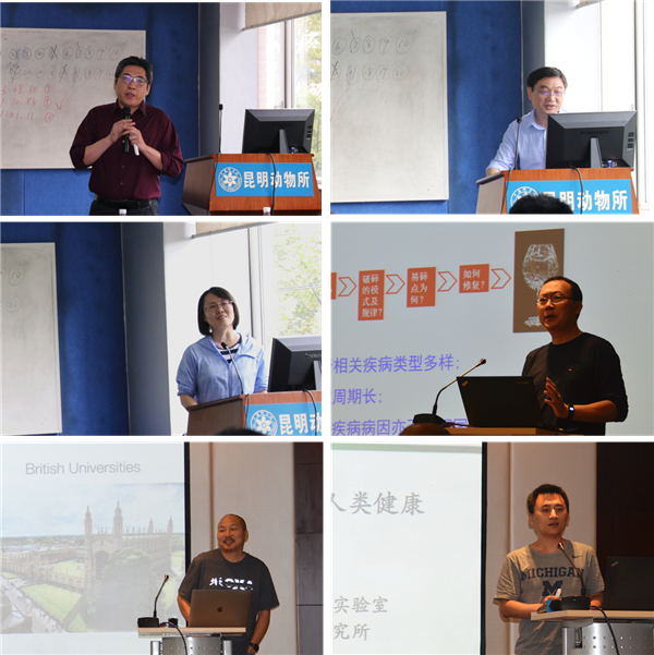 电子游戏app下载安装