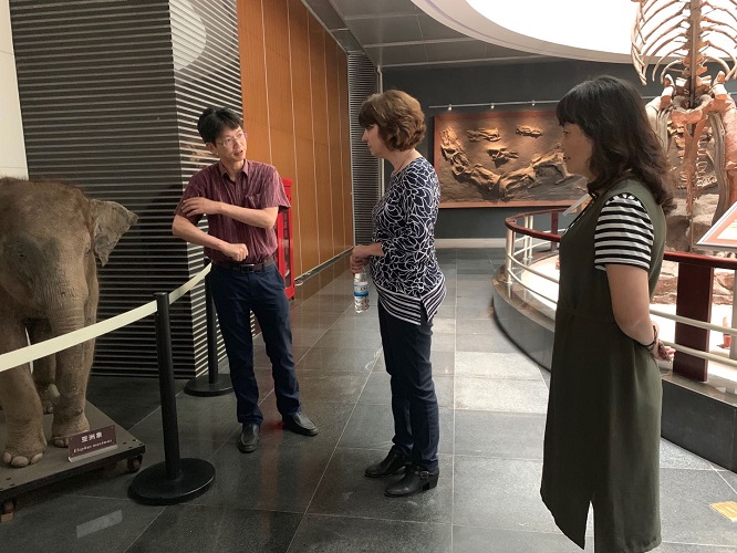 电子游戏app下载安装