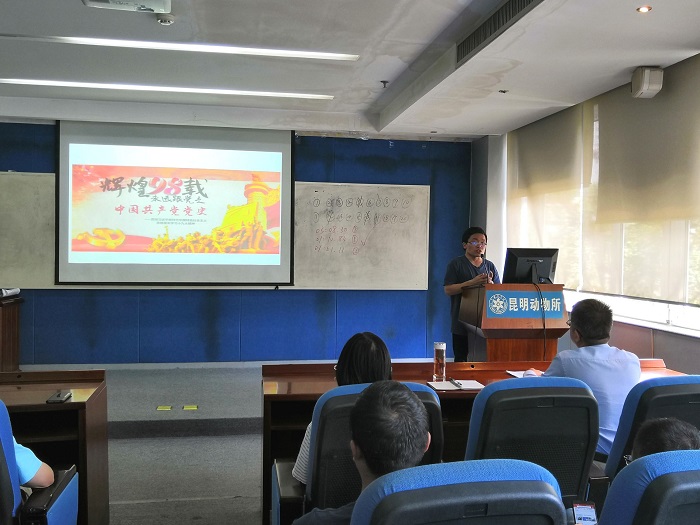 电子游戏app下载安装