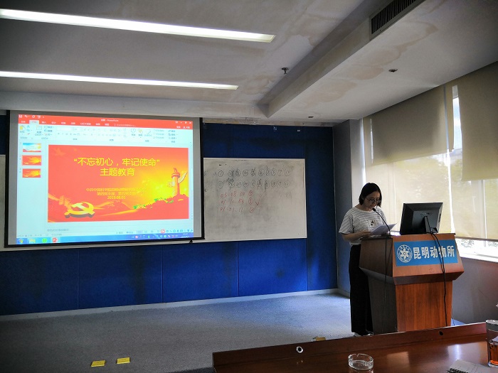 电子游戏app下载安装