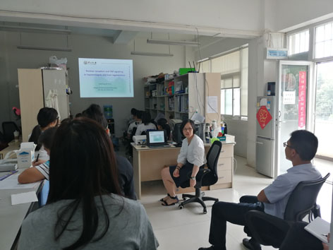 电子游戏app下载安装