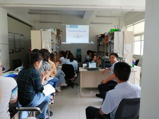 电子游戏app下载安装