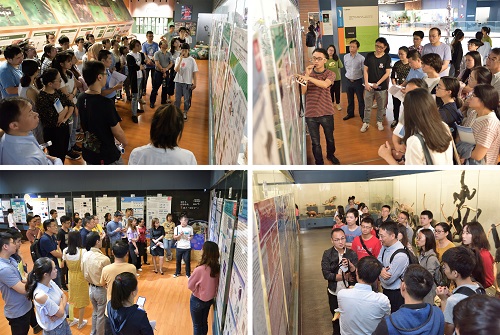 电子游戏app下载安装