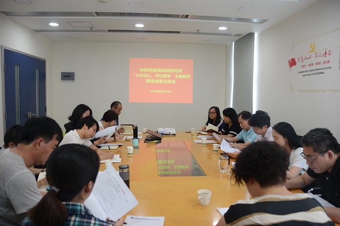 电子游戏app下载安装