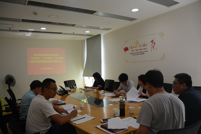 电子游戏app下载安装