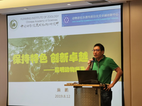 电子游戏app下载安装