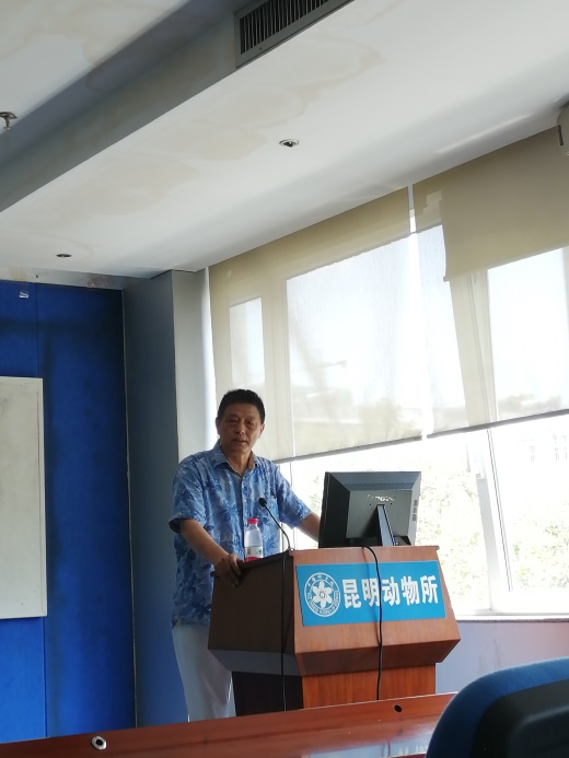 电子游戏app下载安装