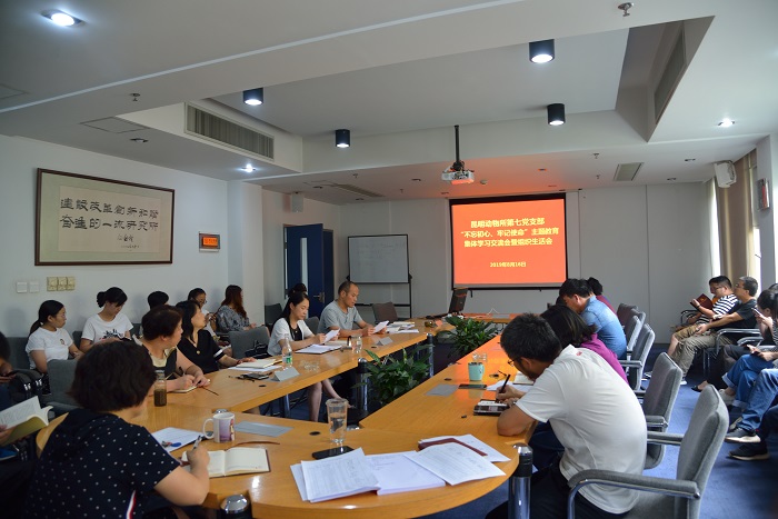 电子游戏app下载安装