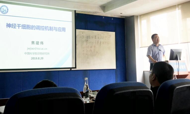 电子游戏app下载安装