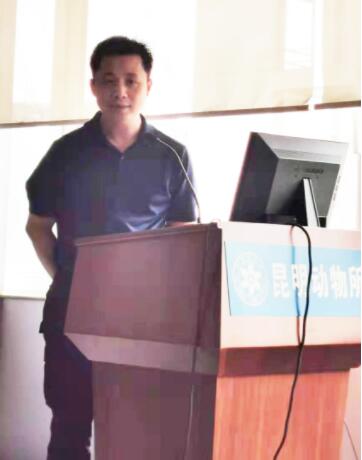 电子游戏app下载安装