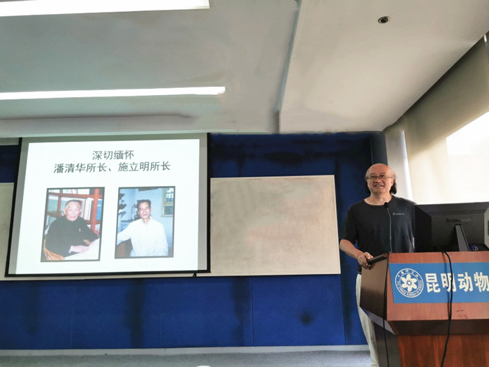 电子游戏app下载安装