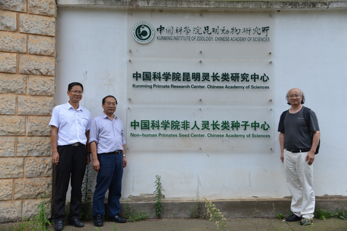 电子游戏app下载安装