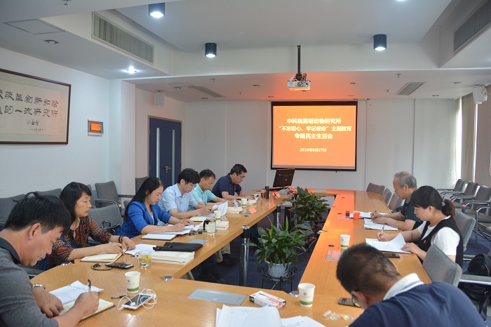 电子游戏app下载安装