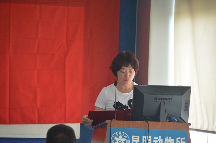 电子游戏app下载安装