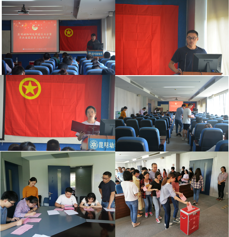 电子游戏app下载安装