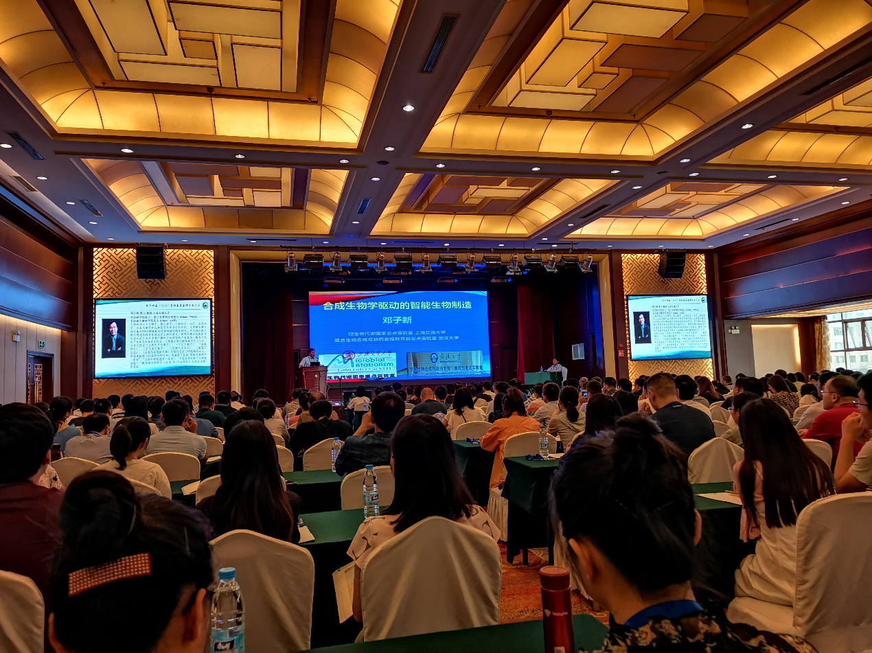 电子游戏app下载安装