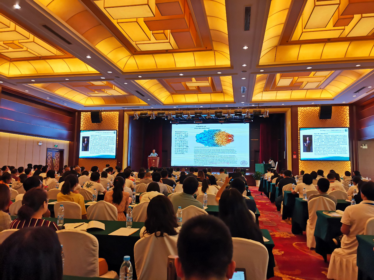 电子游戏app下载安装