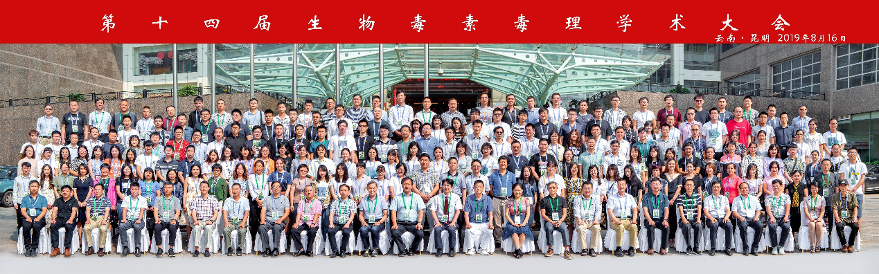 电子游戏app下载安装