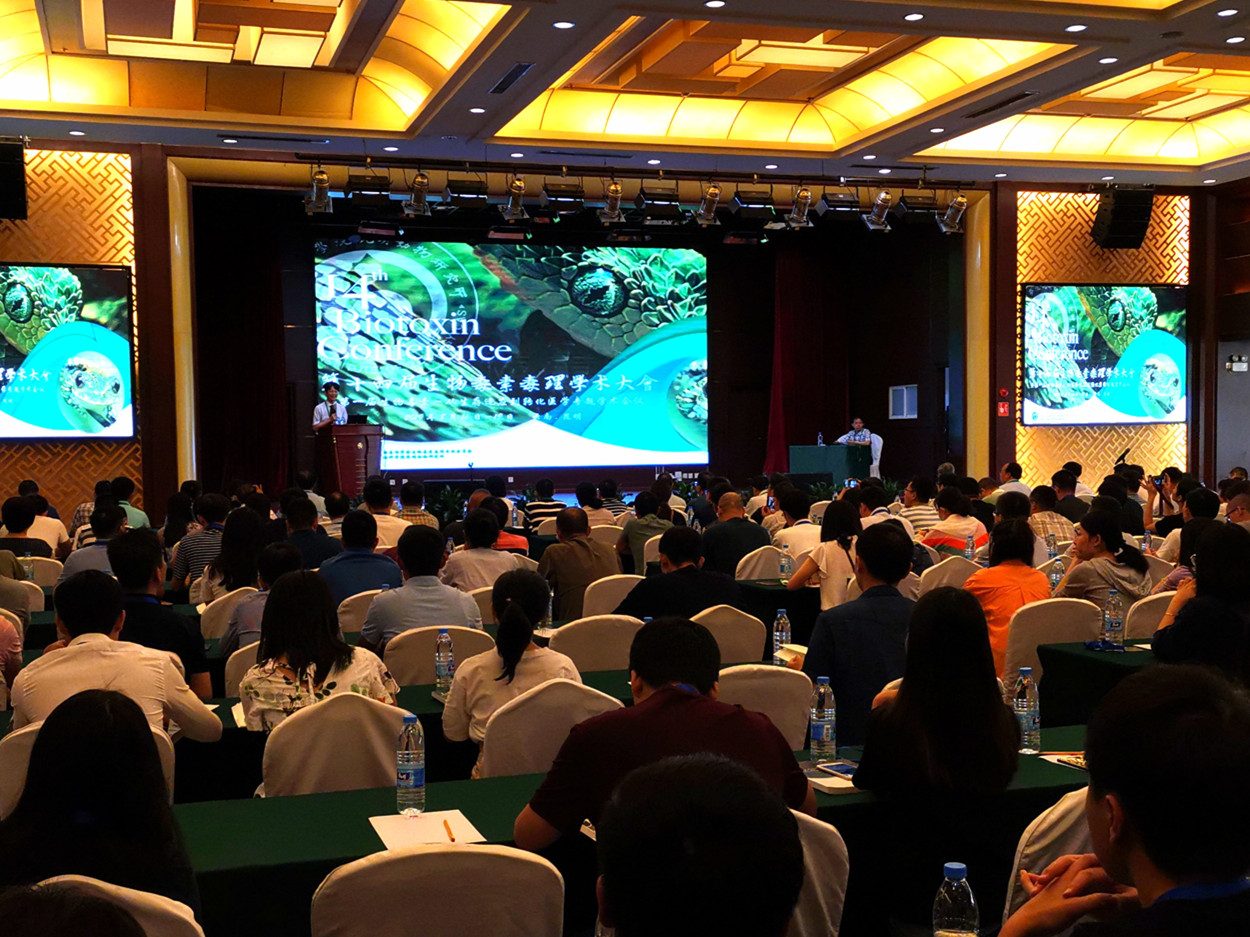 电子游戏app下载安装