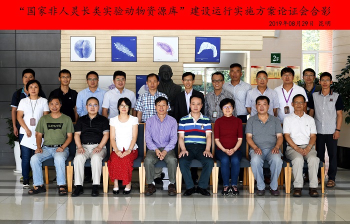 电子游戏app下载安装