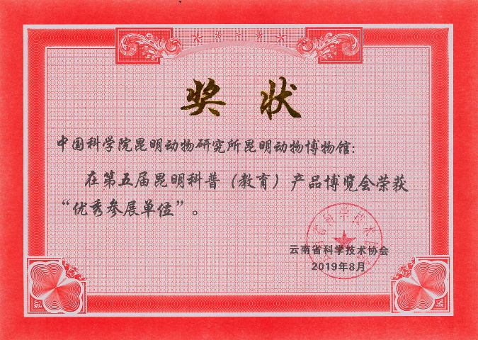 电子游戏app下载安装