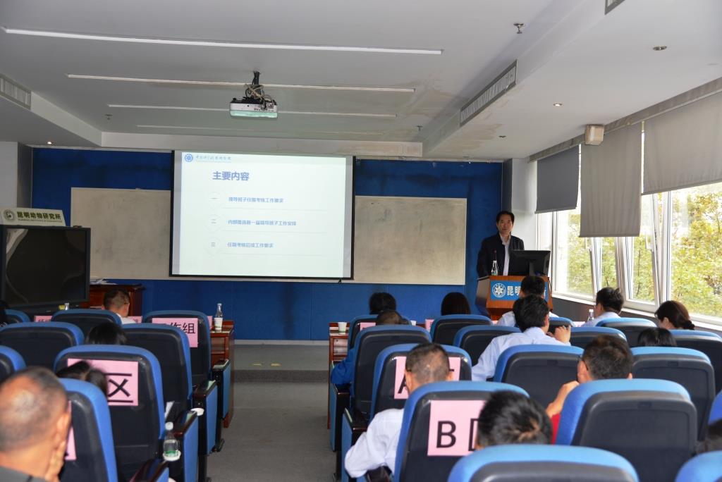 电子游戏app下载安装