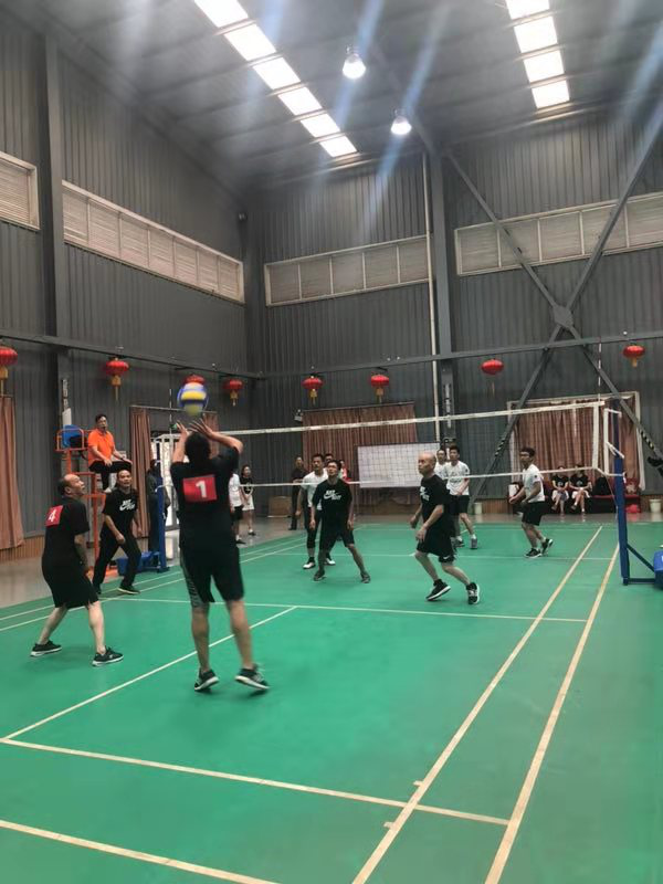 电子游戏app下载安装