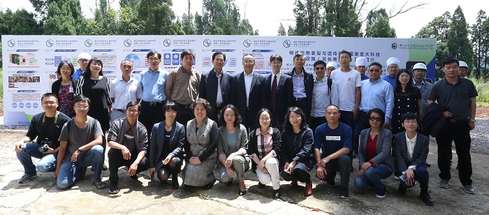 电子游戏app下载安装