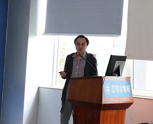 电子游戏app下载安装