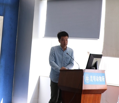 电子游戏app下载安装